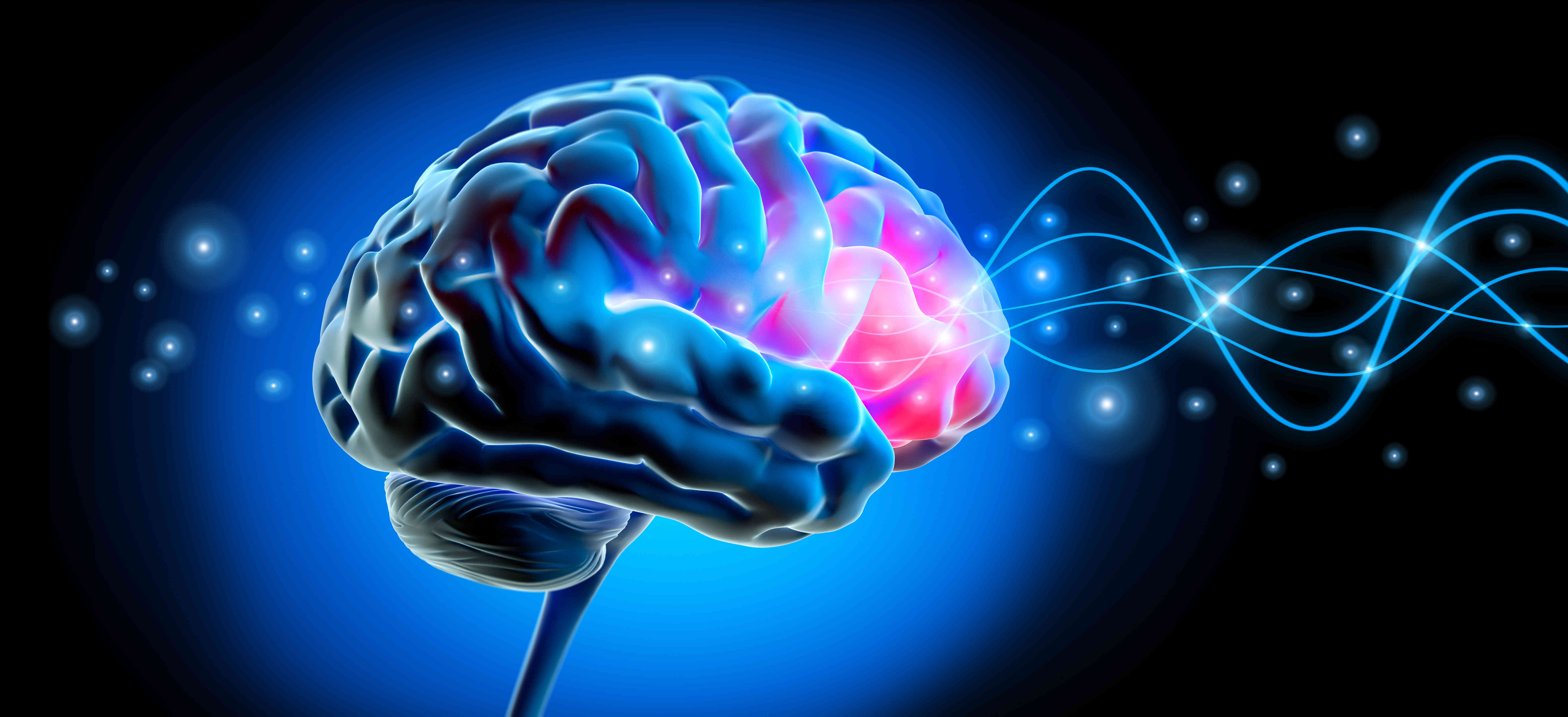 Brain Illustration